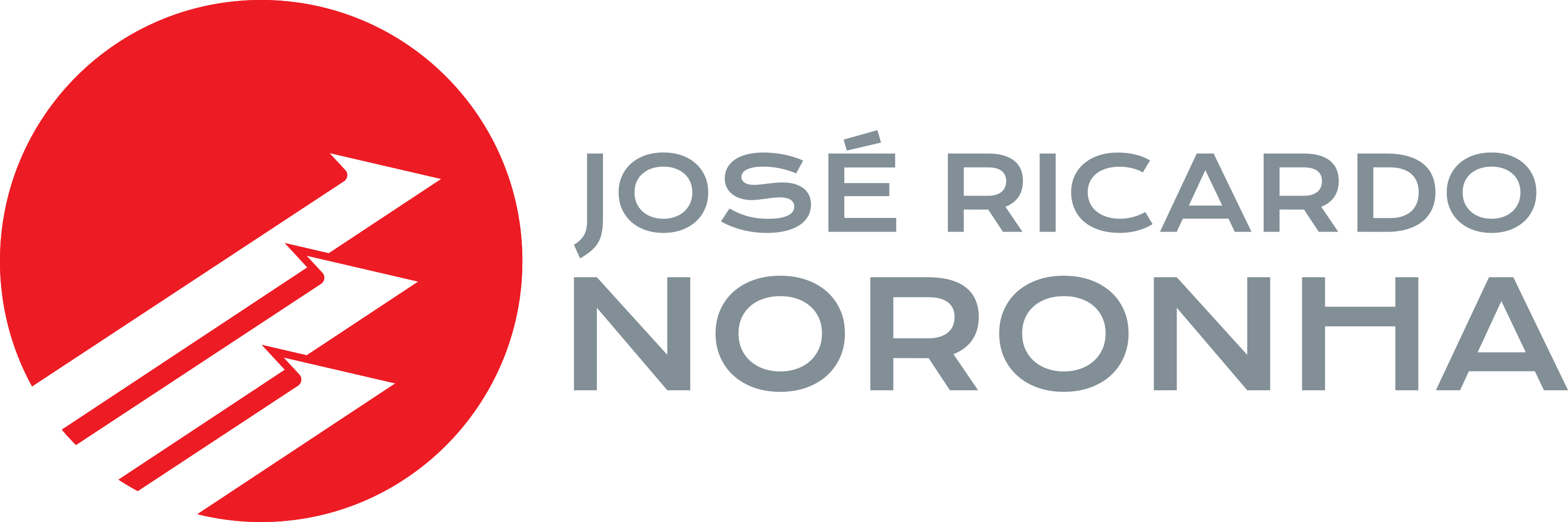 José Ricardo Noronha